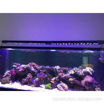 AQL Light 250w 4ft sunrise and sunset wifi wired controller led aquarium light for marine use
